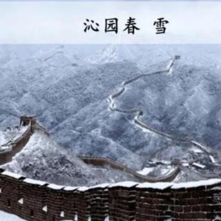 《沁园春.雪》