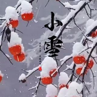 节气诗吟诵   和李八丈小雪同会有怀邻几