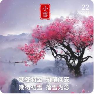 《黄河故道丰润园》作者:乔望键   朗诵:37度~女人