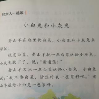 小白兔和小灰兔