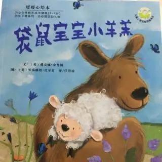 榆中县定远镇中心幼儿园宝宝电台—《袋鼠宝宝小羊羔》