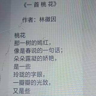 《一首桃花》