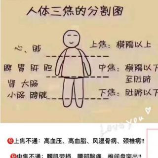 藏象学说