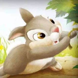 《智慧的小灰兔》