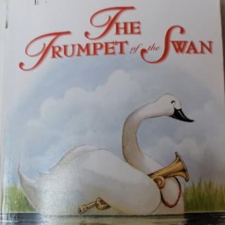 The Trumpet of the Swan(2)3