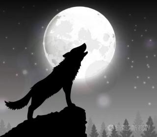 狼为什么对着月亮嗥叫