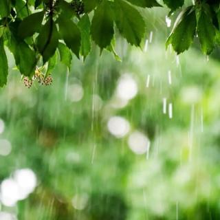 你说你喜欢雨