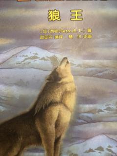西顿动物故事  【狼王】--狼的复仇1，可怜的小狼