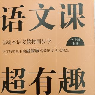 识字7《大小多少》：是大还是小？是多还是少？