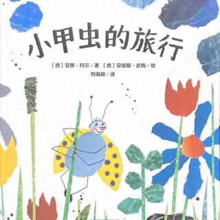 苗妈讲故事｜NO.1720《小甲虫的旅行》