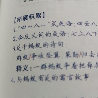 20221127日积月累三年级 含数字词语