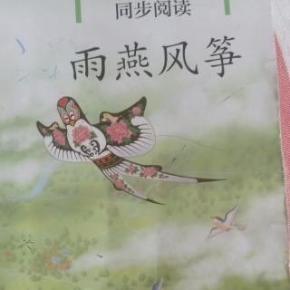 失踪的森林王国