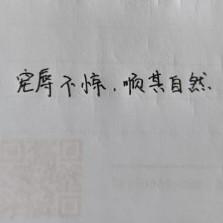 宠辱不惊，顺其自然