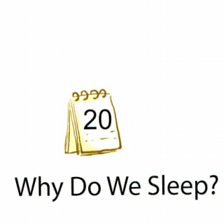 20 Why Do We Sleep？