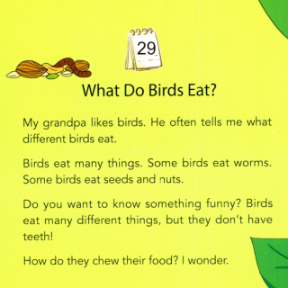 29 What Do Birds Eat？