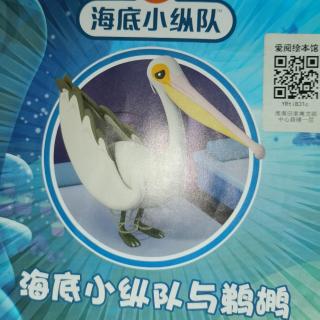 海底小纵队与鹈鹕