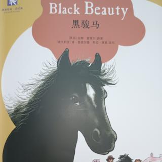 津津有味:Black Beauty 1