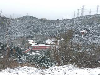 雪沃中华    作者 雷金钟