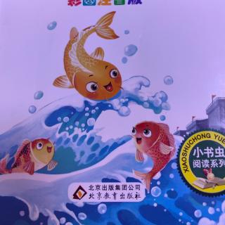 《小鲤鱼跳龙门》小猫钓鱼🐟