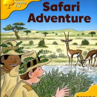 228 Safari Adventure（1）
