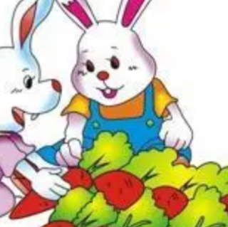 小兔找萝卜