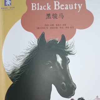 津津有味:Black Beauty 2
