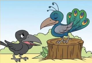 绘本故事《乌鸦与孔雀》