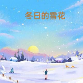 《冬日的雪花》作者：张苏