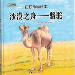 卡蒙加幼教集团冯老师——《沙漠之舟—骆驼》