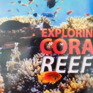 Nov25 Sophia16【exploring coral reefs day4】