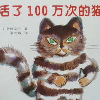 雨妈讲绘本1活了1百万次的猫