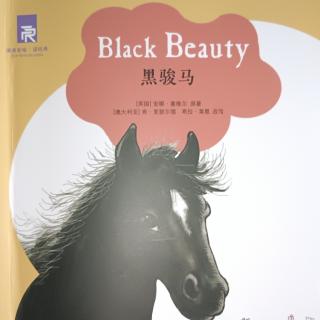 津津有味:Black Beauty 3