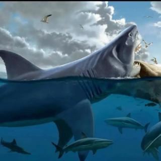 巨齿鲨猎杀海豚