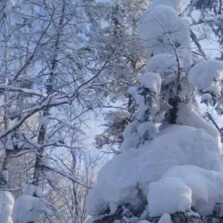 贾金桃《清寒煮雪成诗》琴姐诵读