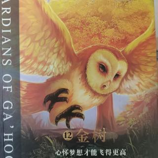 猫头鹰王国——12.金树/吟唱的贝斯