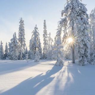 山河大雪纷飞，人间倾盖如故——《答陆澧》