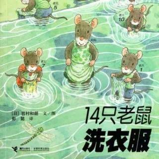 绘本故事《14只老鼠洗衣服》