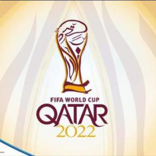 闲聊卡塔尔世界杯：小组赛