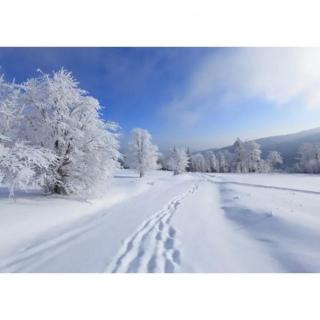 《冬雪》文/快乐