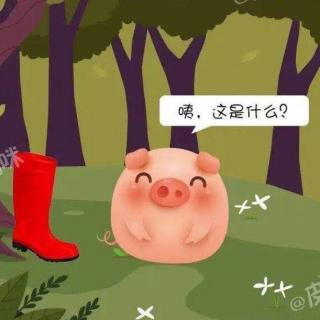 十街幼儿园园长妈妈睡前故事297《小猪捡了红靴子👢》