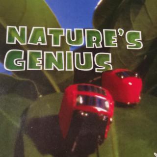 Nature's Genius Day2 Rain Gardens to the rescue DEC 4