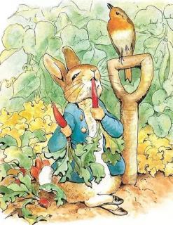 晚安故事《兔子先生的菜园子》