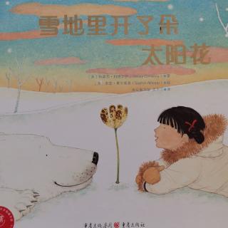 Lily老师讲故事——《雪地里开了朵太阳花》