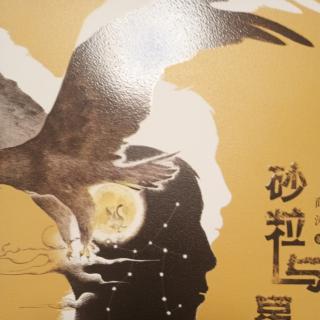 王佩宇读《砂粒与星尘》