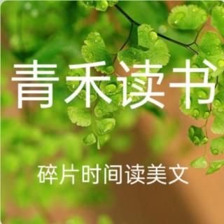 一株柳（节选）｜文：陈忠实