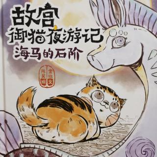 故宫御猫夜游记4-海马的石阶