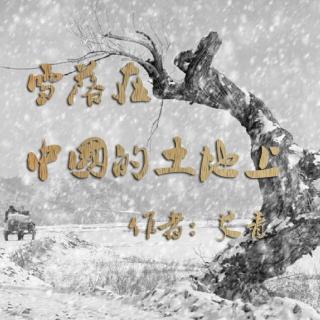 海鸥诵读《雪落在中国的土地上》（作者:艾青）