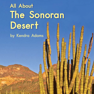 【海尼曼】G2-077 All About the Sonoran Desert