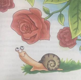 《蜗牛和玫瑰花树》
