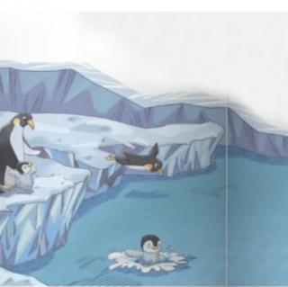 宋老师第634篇睡前故事🌻《往下跳哇，小企鹅》
